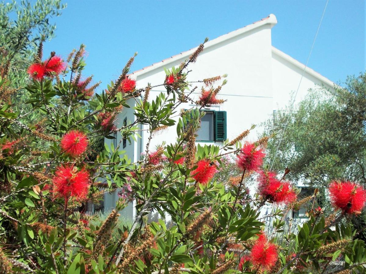 Rustic Holiday Home Miketa Lukoran المظهر الخارجي الصورة