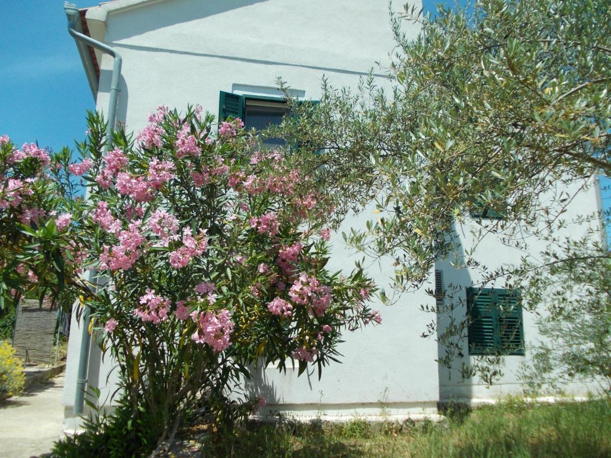 Rustic Holiday Home Miketa Lukoran المظهر الخارجي الصورة