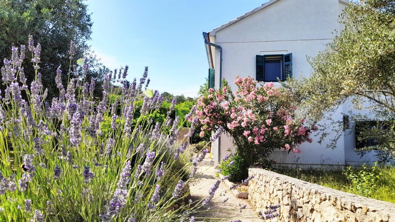Rustic Holiday Home Miketa Lukoran المظهر الخارجي الصورة