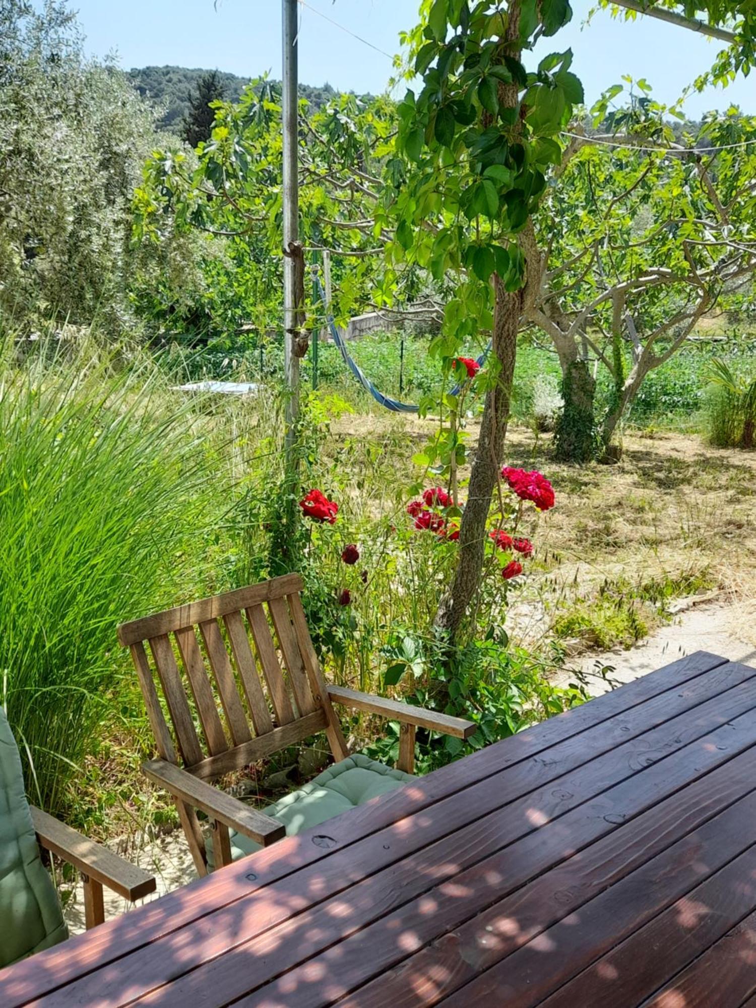 Rustic Holiday Home Miketa Lukoran المظهر الخارجي الصورة
