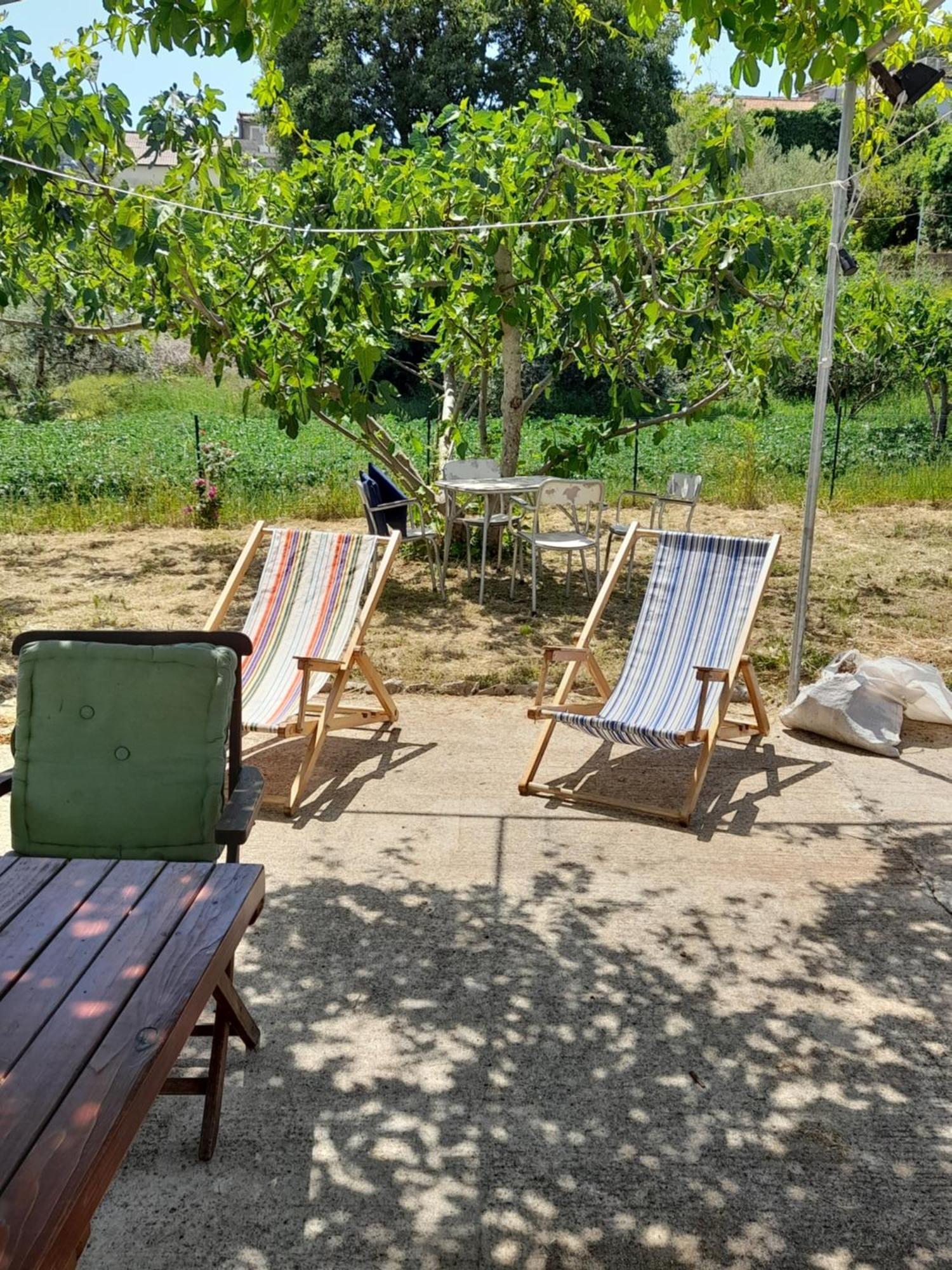 Rustic Holiday Home Miketa Lukoran المظهر الخارجي الصورة