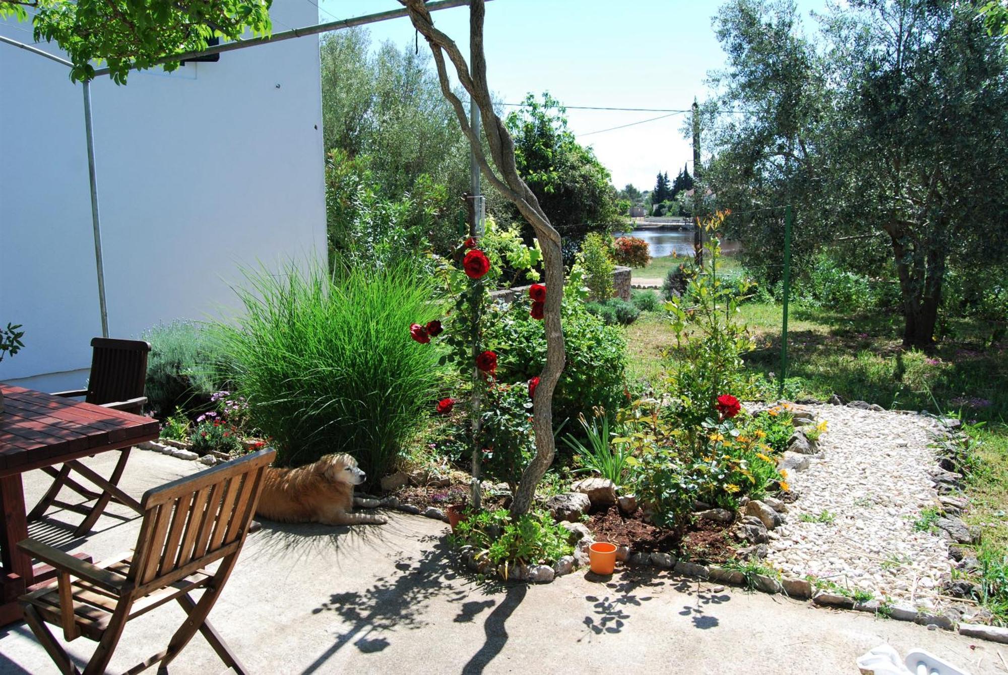 Rustic Holiday Home Miketa Lukoran المظهر الخارجي الصورة
